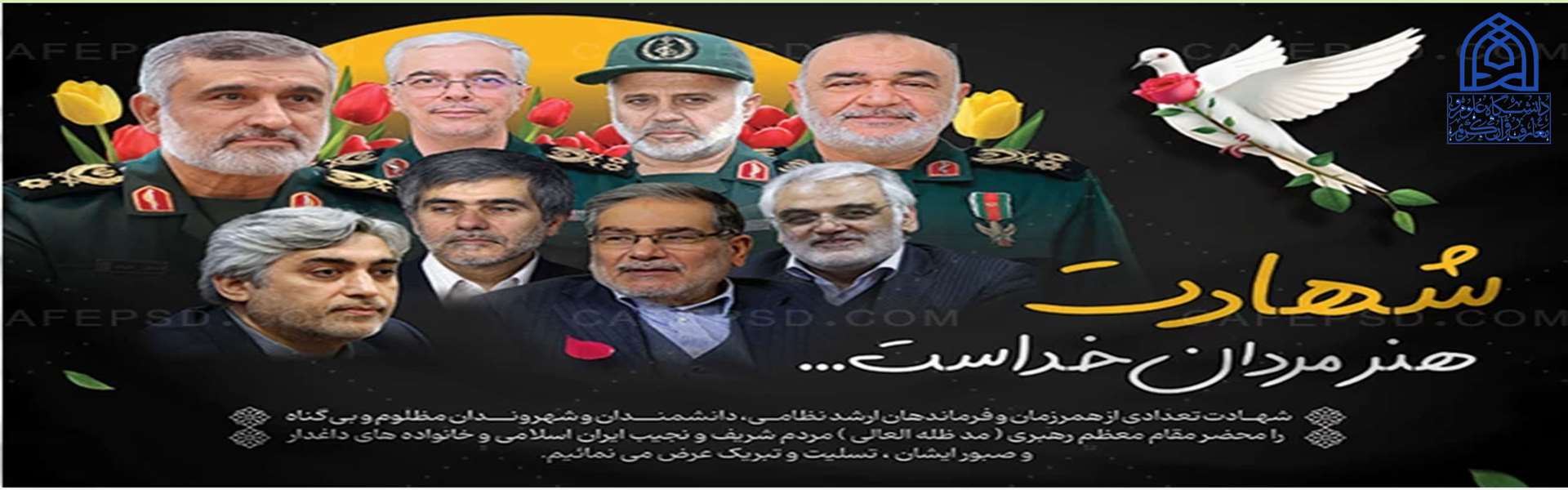 شهیدان زنده اند